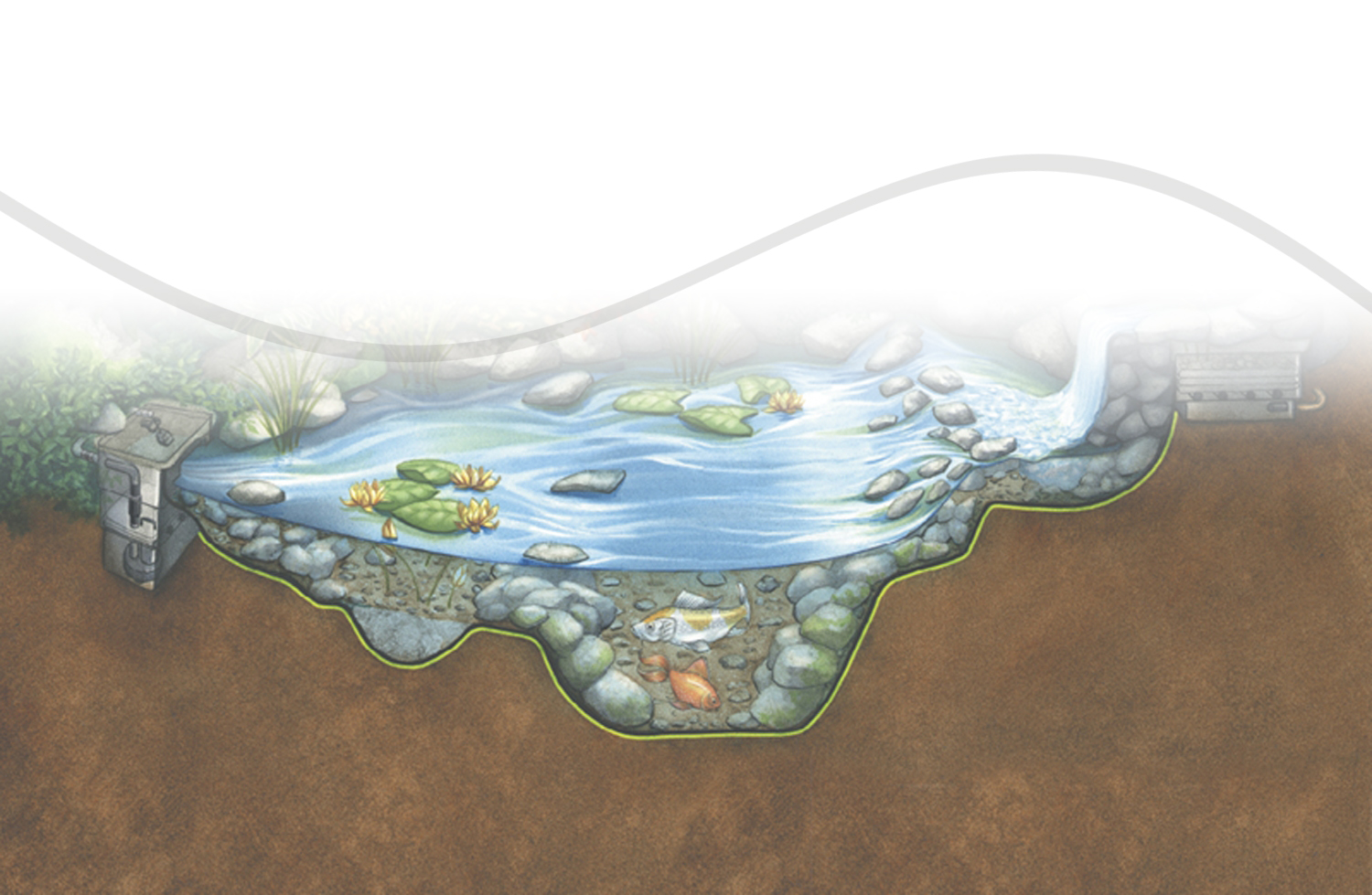 Aquascape ecosystem Backgrounds powerpoint backgrounds