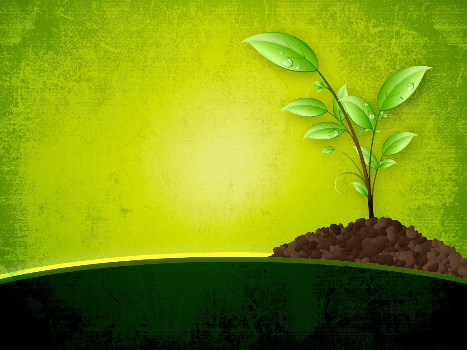 Download this Beautiful Nature Green Worship picture
