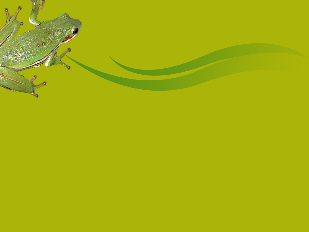 Frog Backgrounds powerpoint backgrounds