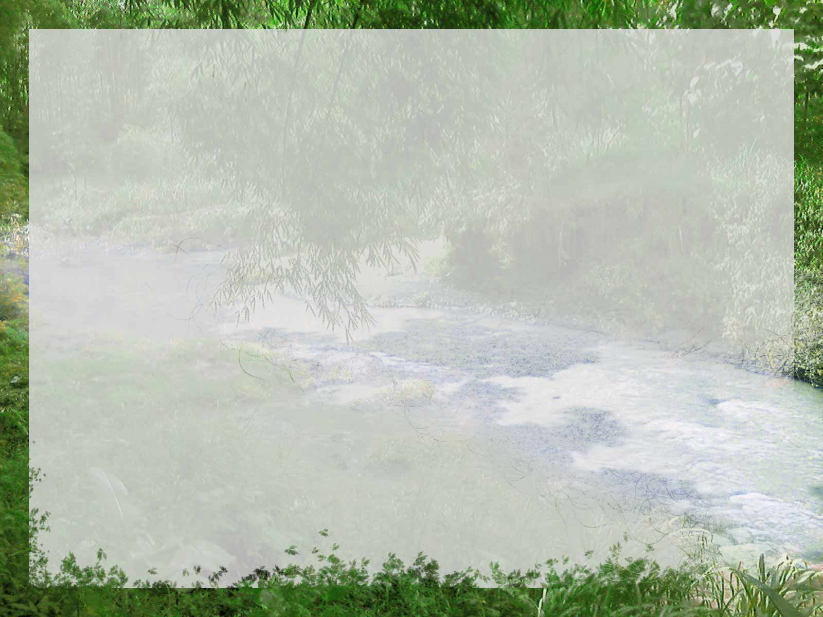 River Jungle Backgrounds powerpoint backgrounds