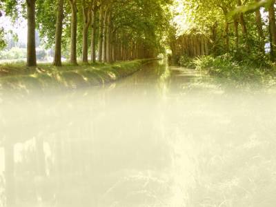 Canal Blur Nature Background