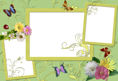 Charming Frames Butterfly Background