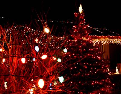Christmas Lights With Tree Thumbnail