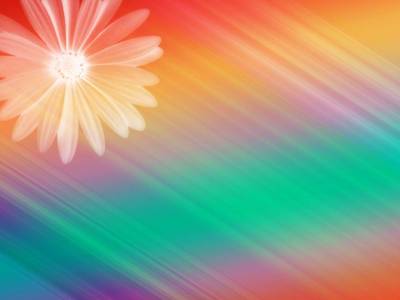 Elegant Floral Design Rainbow Colorful Ppt  Background