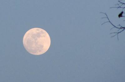 Equinox-perigee Moon Background