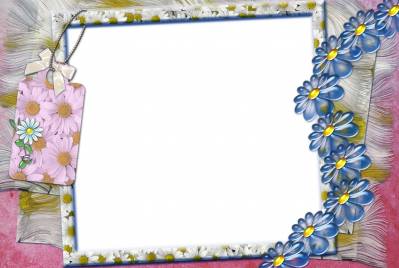 Frame Decoration With Daisy Background