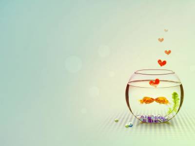 Goldfish Animal Design Background Thumbnail