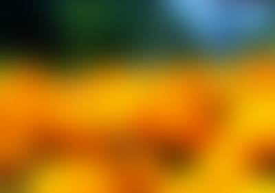 Gradient Blur Slide Background