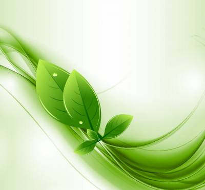 Green Eco Nature Wave Background Thumbnail