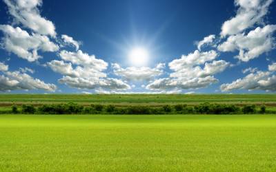 Green Grass, The Sun Shines Background Thumbnail