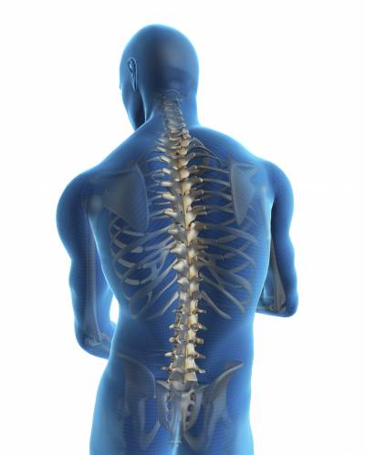 Human Back And Spine Background