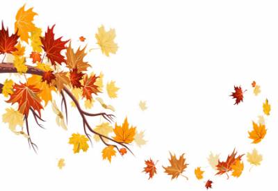Maple Leaves Background