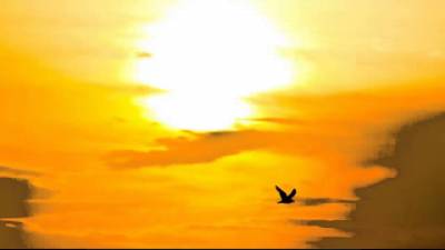 Prayer, Birds, Flying, Sunrise Thumbnail