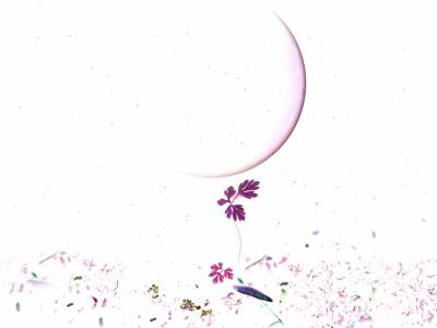 Purple Moon Semi Curves Flowers Background