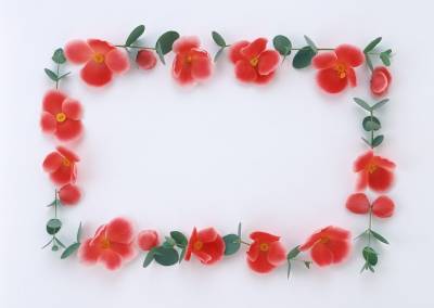 Red Rose, Wedding, Valentine Day, Love Frame Background Thumbnail