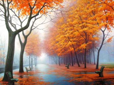 Road In Autumn Background
