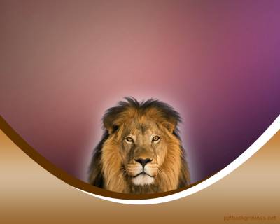The Lion King Background Thumbnail