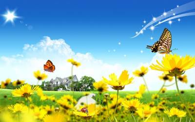 Yellow Flowers And Butterflies, Spring, House Background
