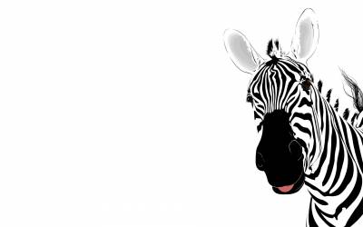 Zebra Animal Template Background