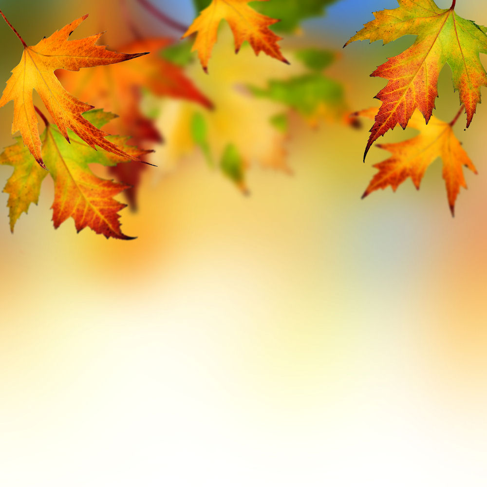 Autumn Leaves powerpoint background