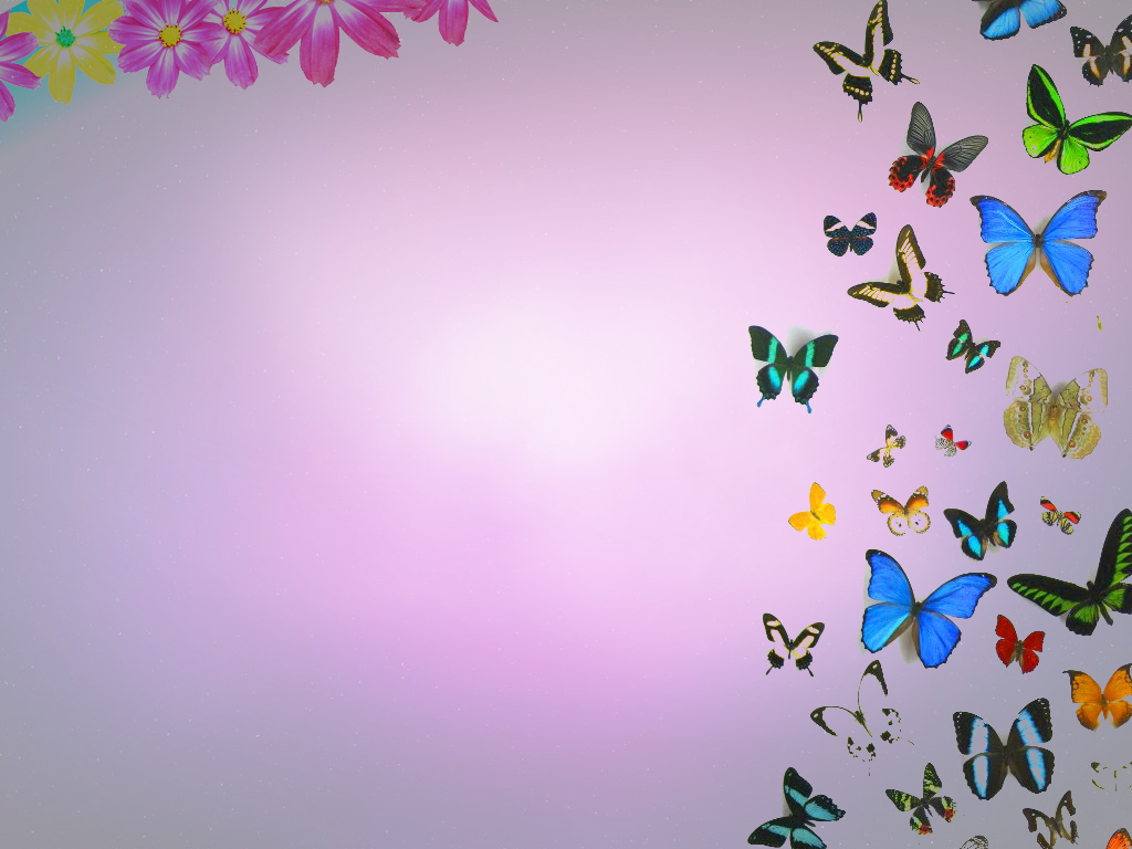 Butterflies and Flowers powerpoint background