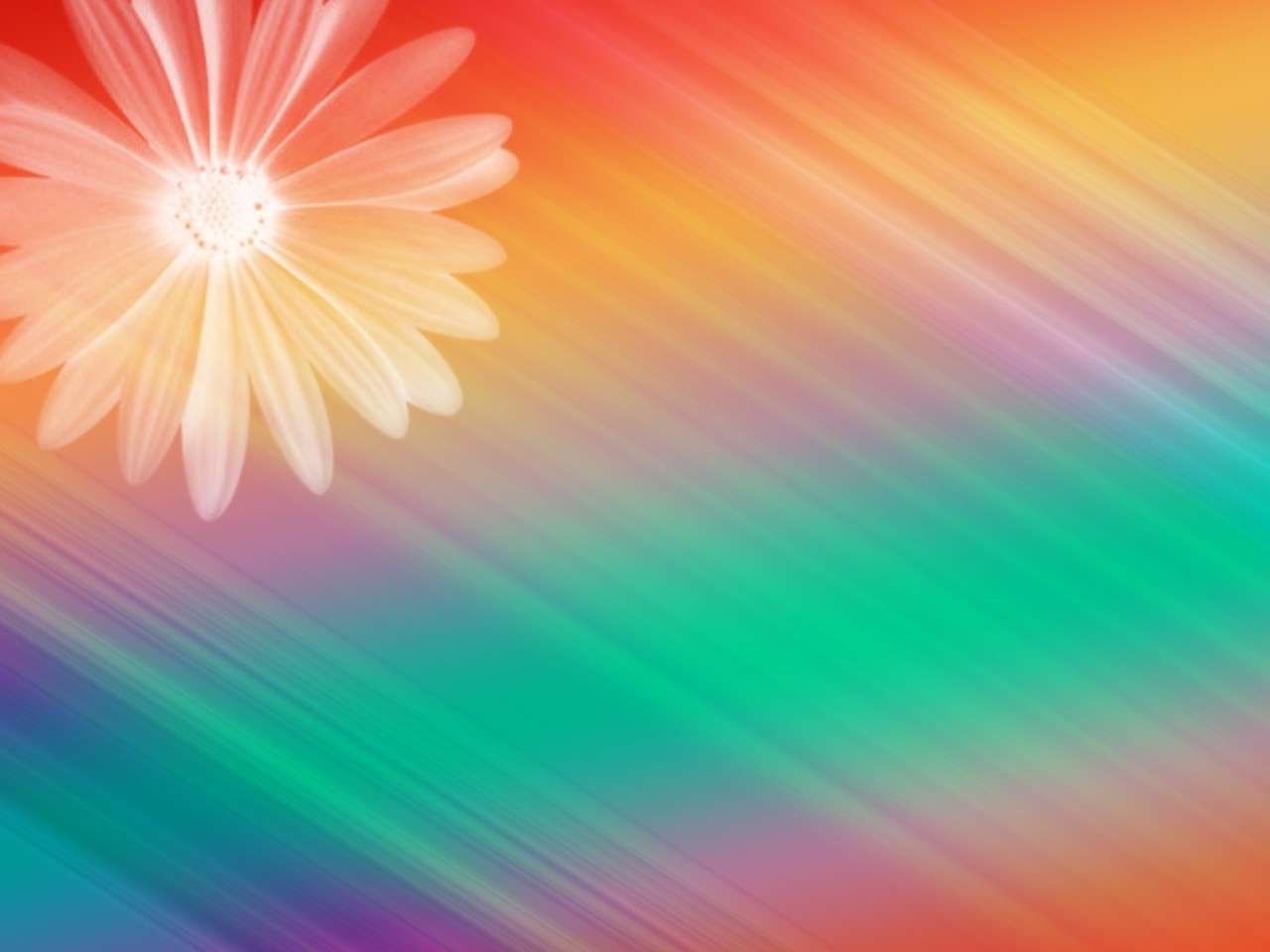 Elegant floral design rainbow colorful  powerpoint background