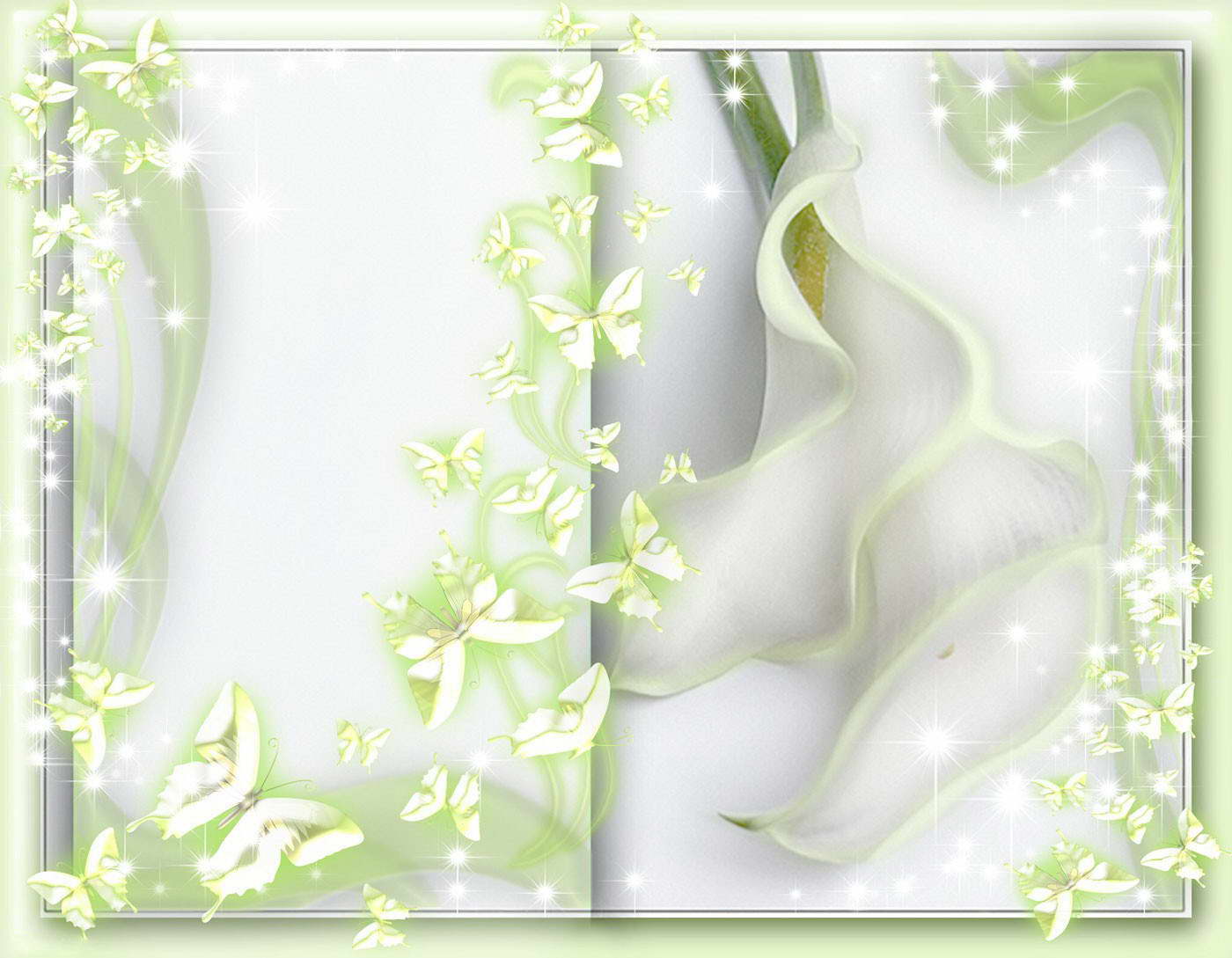 Elegant Wedding Butterfly Frame powerpoint background