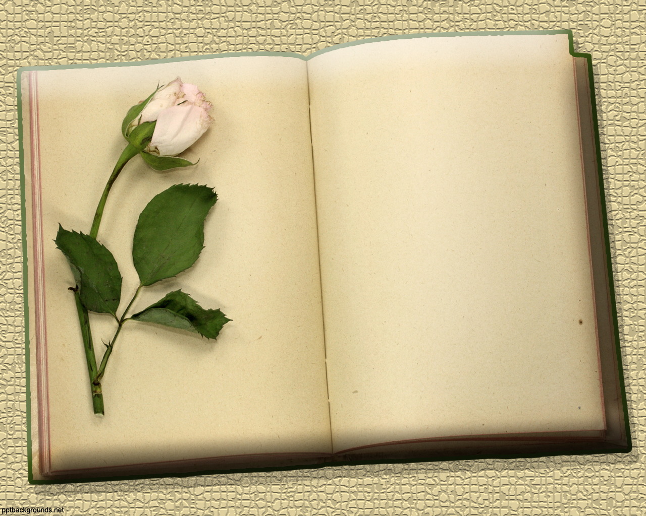 Flowers and Vintage Blank Books powerpoint background