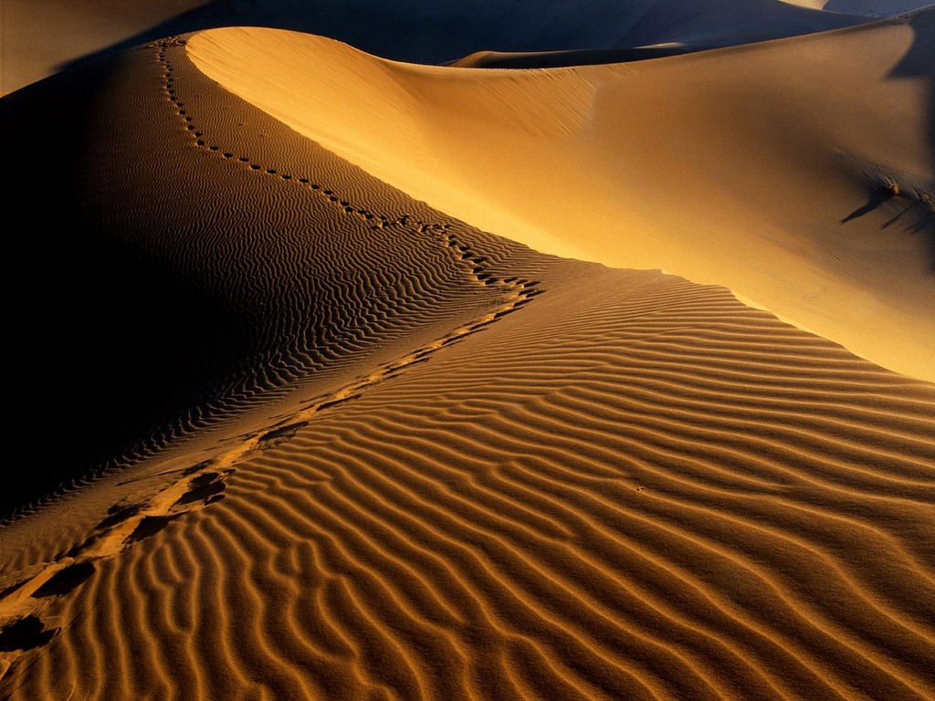 Footprints Namib Desert Namibia Africa powerpoint background