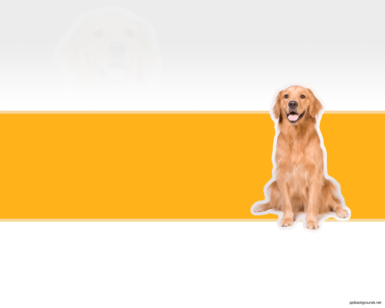 Golden Dog powerpoint background