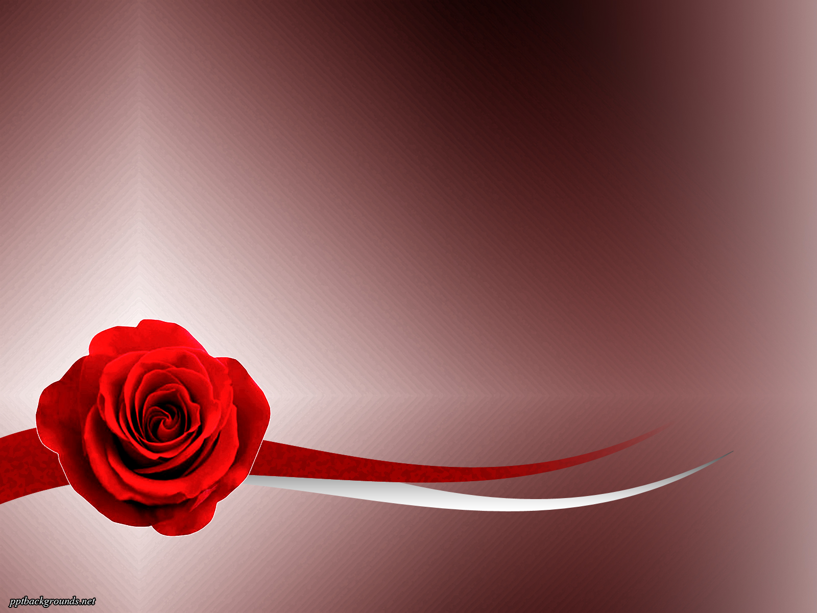 Red Rose On The Abstract Background powerpoint background