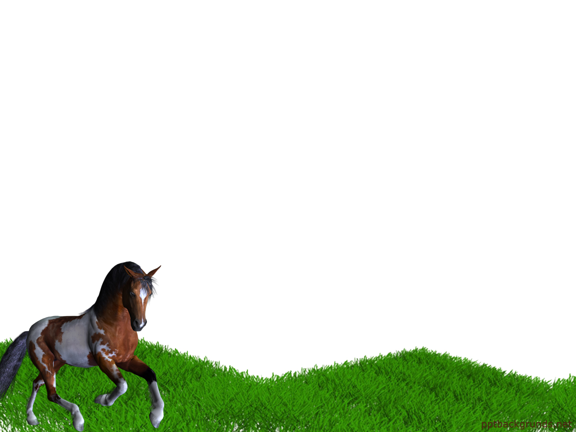 Running Horse powerpoint background